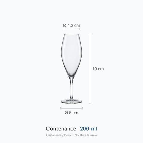 Dimensions de la flûte à champagne Lys : hauteur 19 cm, diamètre 4,2 cm en haut et 6 cm à la base, contenance 20 cl