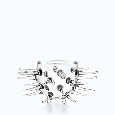 Verre Cactus, sur fond blanc