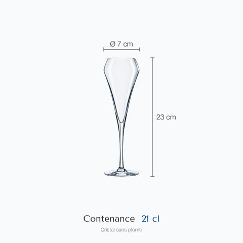 Dimensions : Verre à Tulipe Champagne Jacinthe (hauteur 23 cm, diamètre 7 cm, contenance 21 cl)
