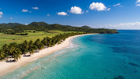 Vue aérienne de la côte sud de la Martinique, eaux turquoise et champs de canne à sucre, terroir du rhum agricole AOC