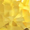 Cygne saphir jaune