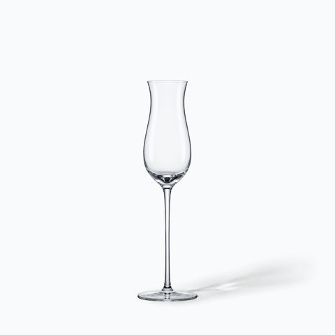 La flûte à champagne Campanule seule sur fond blanc, avec son ombre portée