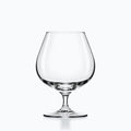 Verre à Cognac Gabare, sur fond blanc