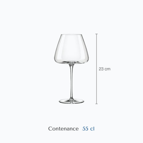 Dimensions : Verre à Vin de Dégustation (hauteur 23 cm, contenance 55 cl)