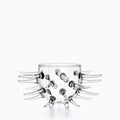 Verre Cactus, sur fond blanc