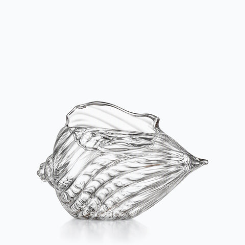 Verre Cocktail Coquillage, sur fond blanc