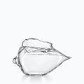 Verre Cocktail Coquillage, sur fond blanc