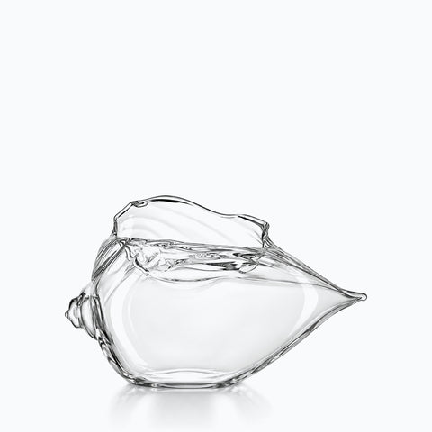 Verre Cocktail Coquillage, sur fond blanc