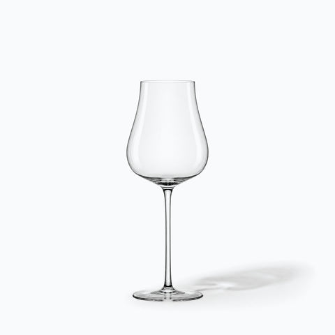 Verre en forme de tulipe Peuplier seul sur fond blanc avec ombre portée