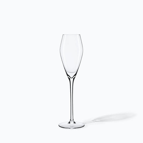 Vrai Verre à Champagne, avec son ombre portée, sur fond blanc